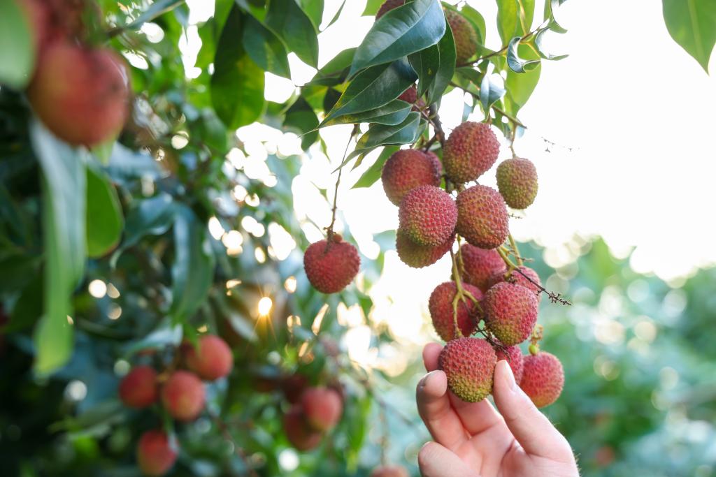 ??????: ???? ???? ????? ??????? ?? ????? ?????