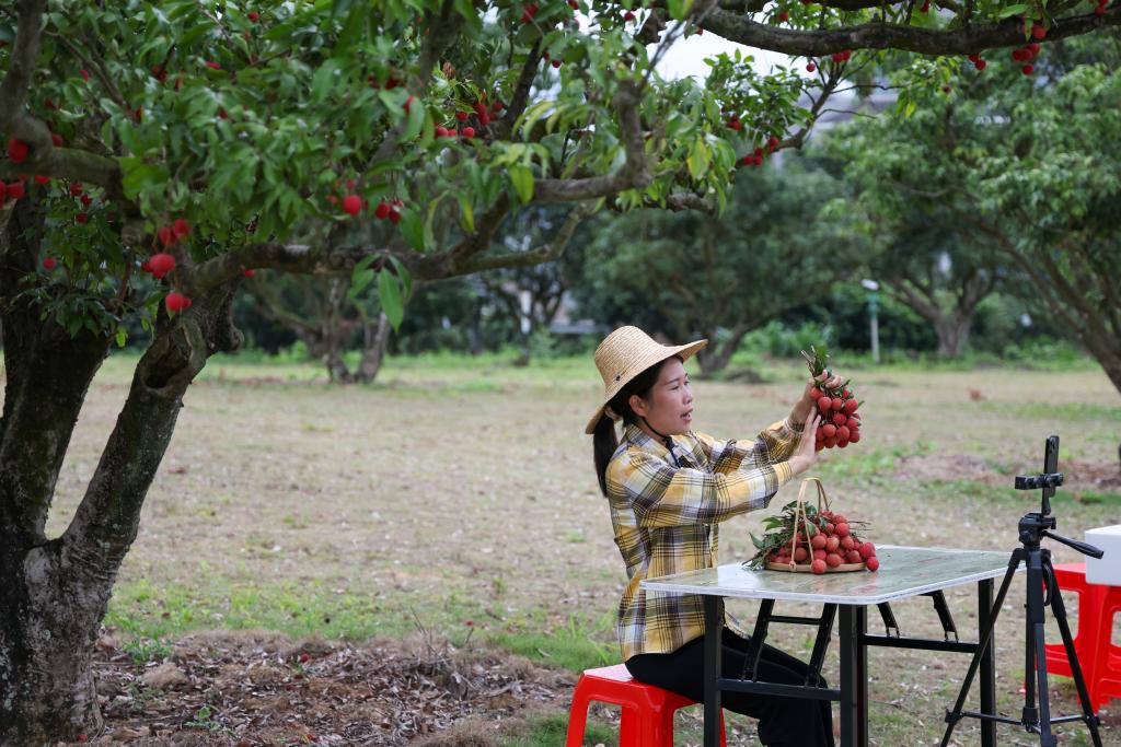 ??????: ???? ???? ????? ??????? ?? ????? ?????