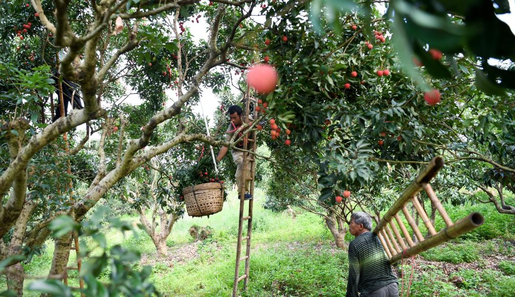 ??????: ???? ???? ????? ??????? ?? ????? ?????