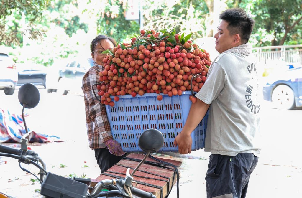 ??????: ???? ???? ????? ??????? ?? ????? ?????