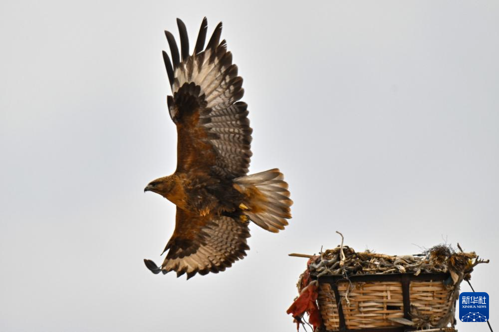 ????? ?????????? ?? ???????: ?????? ???????? ???? ???? ???????