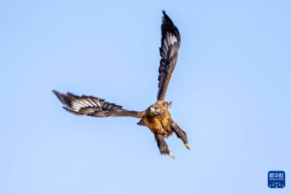 ????? ?????????? ?? ???????: ?????? ???????? ???? ???? ???????