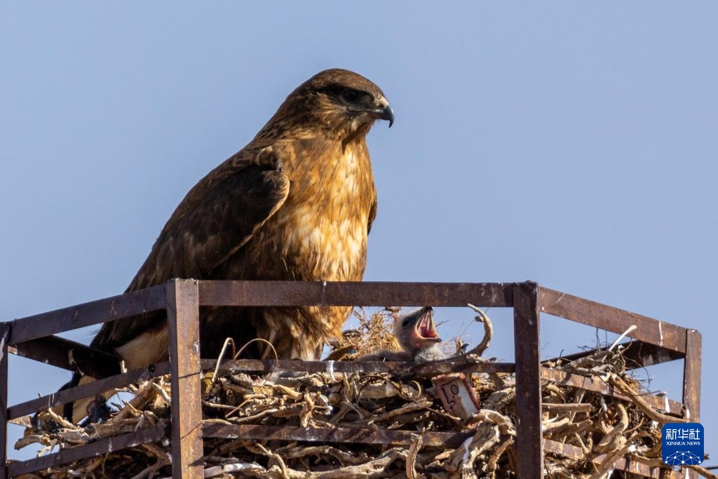 ????? ?????????? ?? ???????: ?????? ???????? ???? ???? ???????