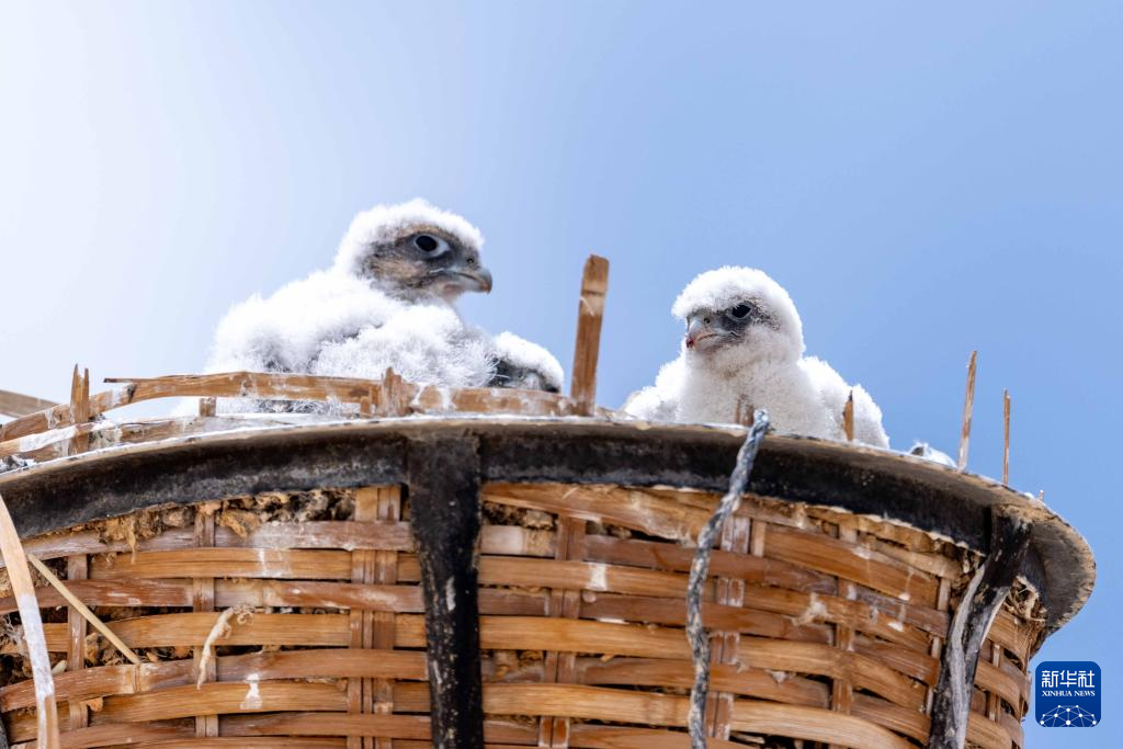 ????? ?????????? ?? ???????: ?????? ???????? ???? ???? ???????