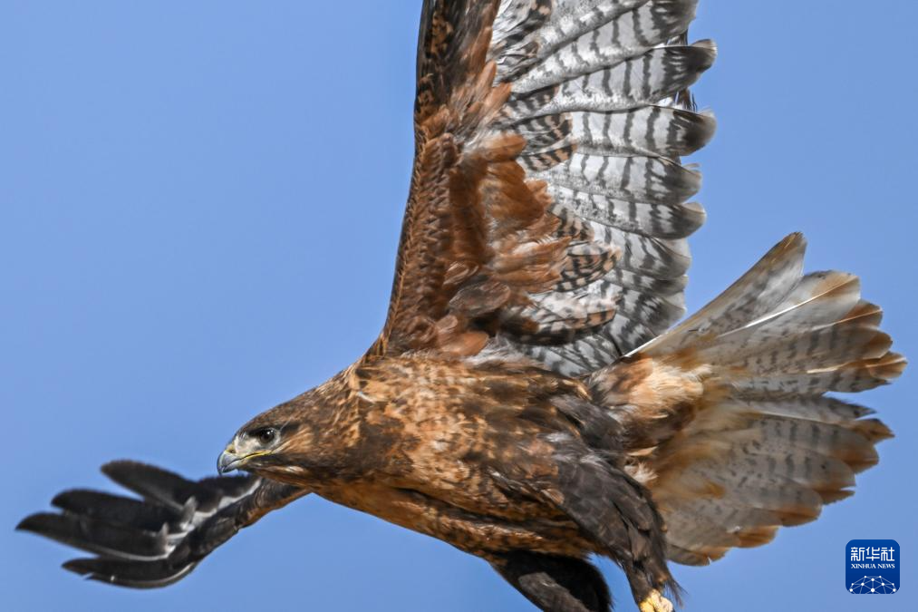 ????? ?????????? ?? ???????: ?????? ???????? ???? ???? ???????