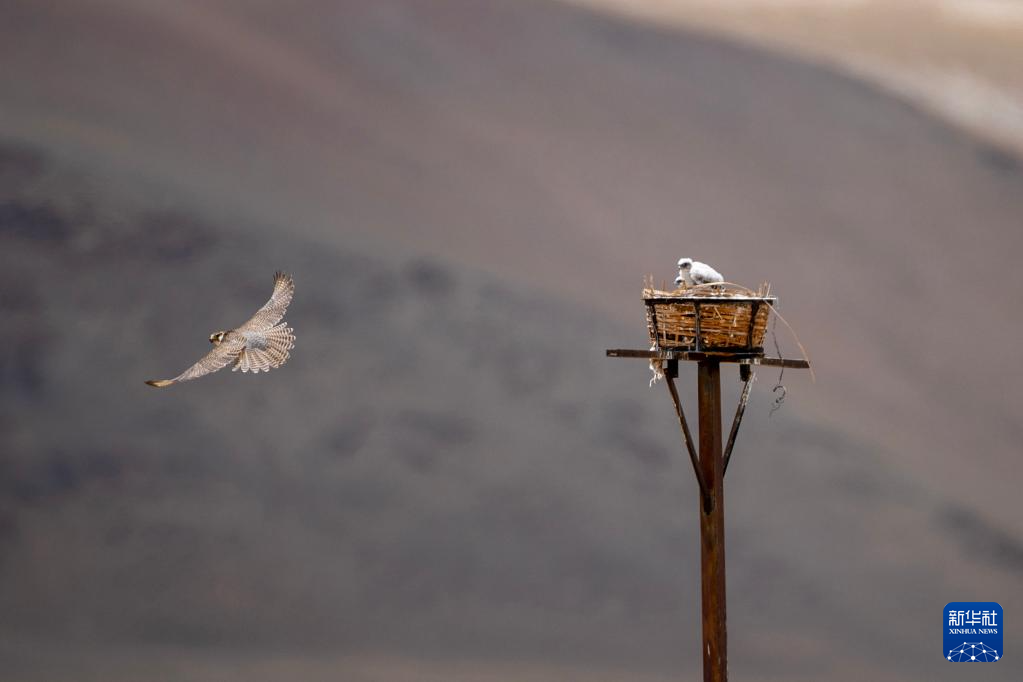 ????? ?????????? ?? ???????: ?????? ???????? ???? ???? ???????