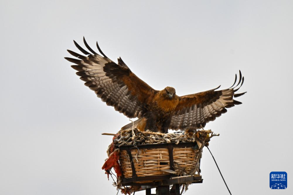 ????? ?????????? ?? ???????: ?????? ???????? ???? ???? ???????