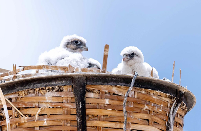 ????? ?????????? ?? ???????: ?????? ???????? ???? ???? ???????