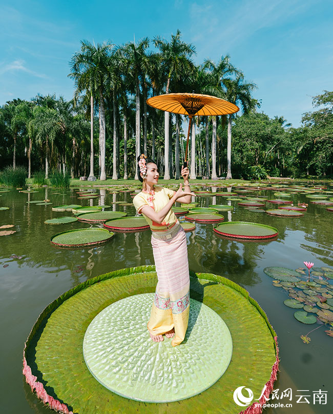 ???? ????? ??????? ?? ????? ???? ?? ????????????