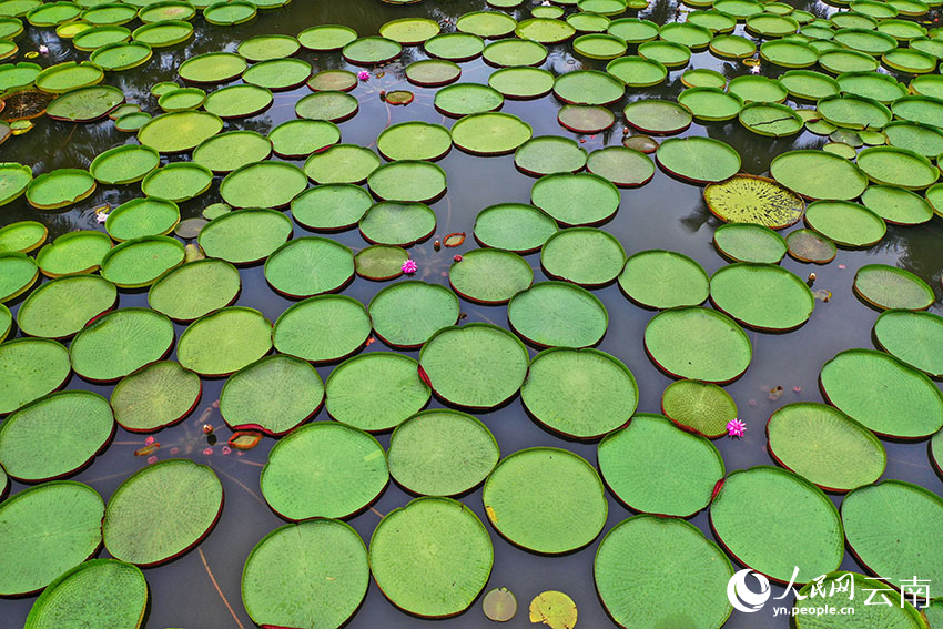 ???? ????? ??????? ?? ????? ???? ?? ????????????