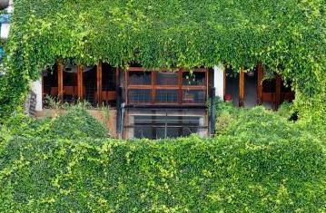 ??????? ??????? ?? ??????? ????? ??????? ?????? ?? ???? ?????