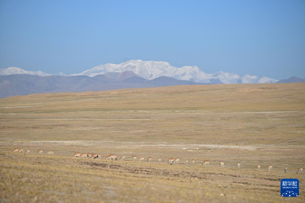 ??? ????? ????? ???? ???????