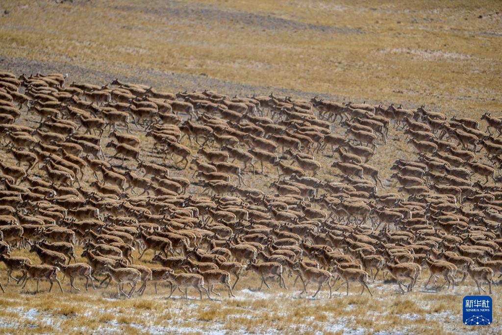 ??? ????? ????? ???? ???????