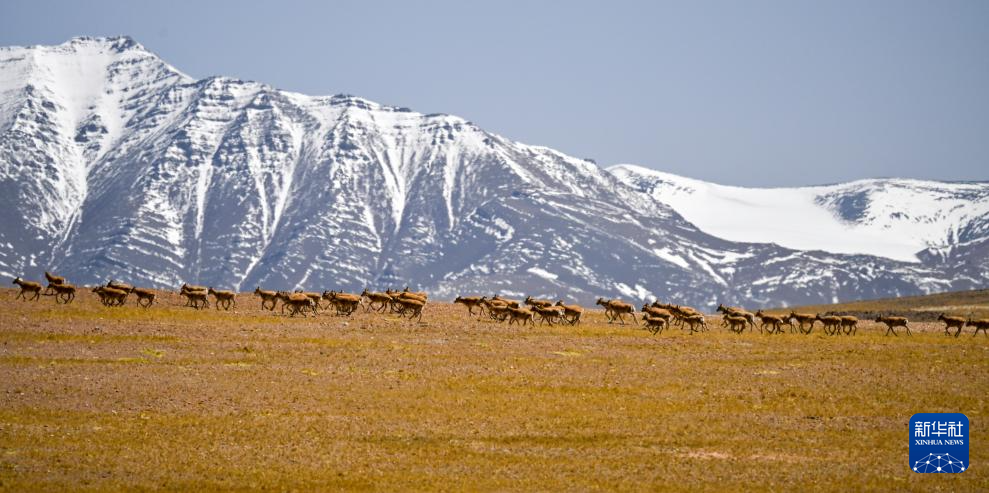 ??? ????? ????? ???? ???????