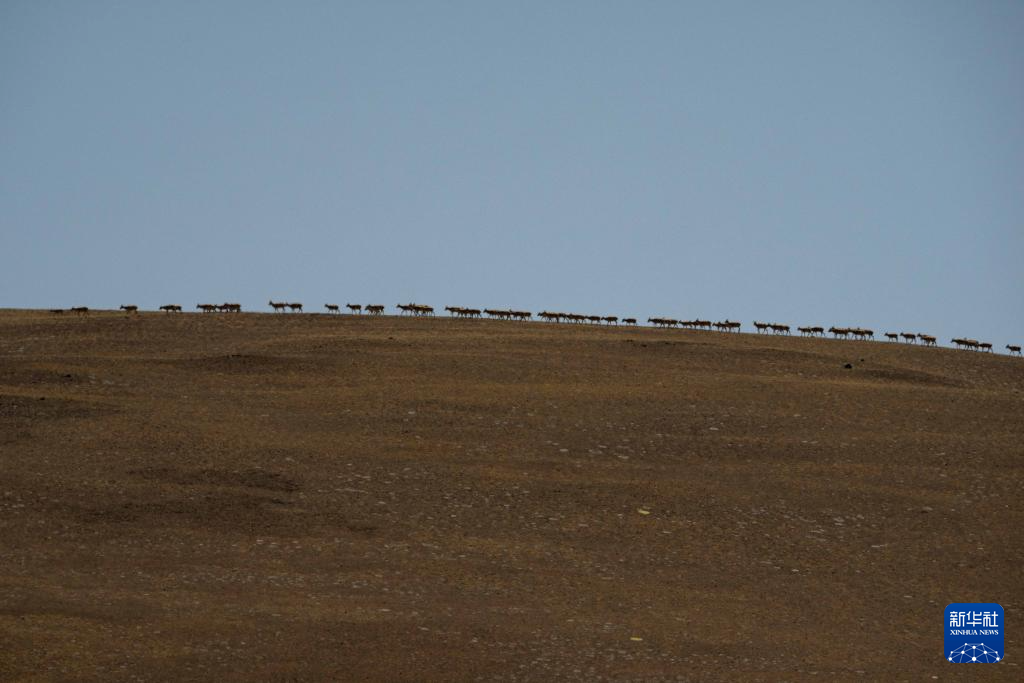 ??? ????? ????? ???? ???????