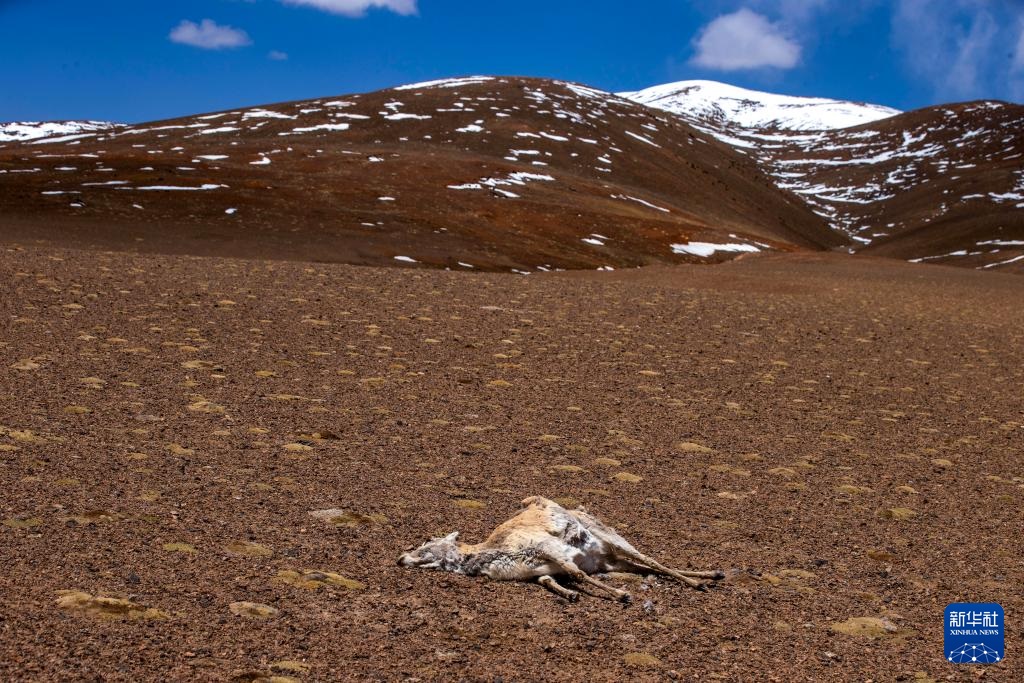 ??? ????? ????? ???? ???????