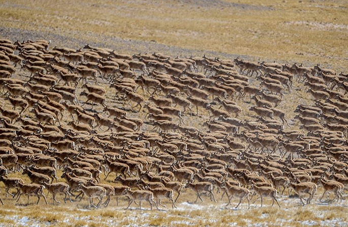 ??? ????? ????? ???? ???????