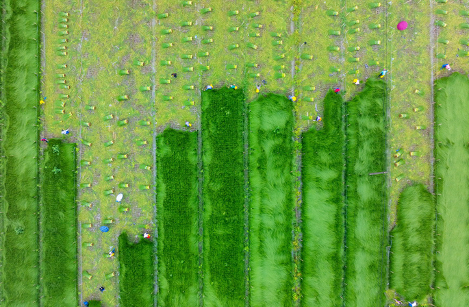 ?????? ???? ???? ???? ???? ???????