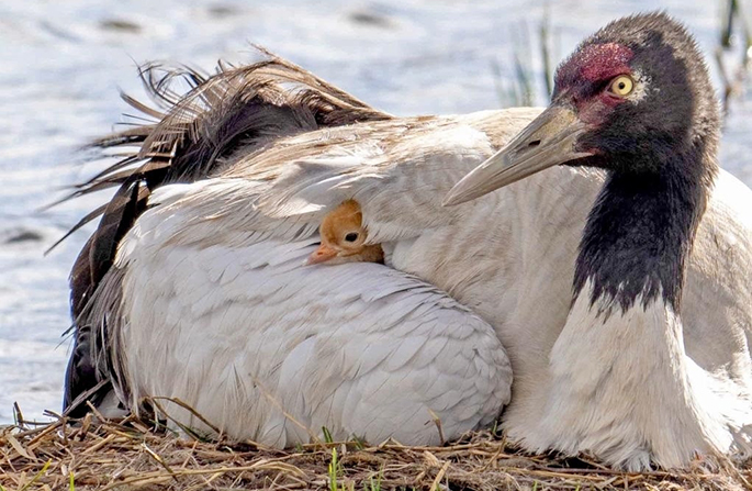 ?????? ???? ??????? ??? ????????? ?????? ??????