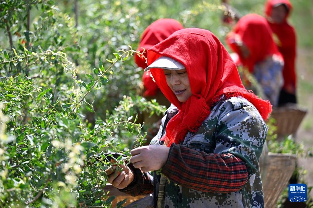 ????????? ?? ??????? ?????? ?? ??? ????? ??? ??????