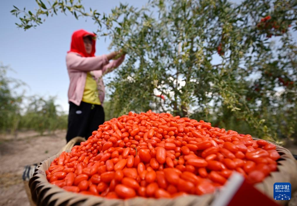 ????????? ?? ??????? ?????? ?? ??? ????? ??? ??????