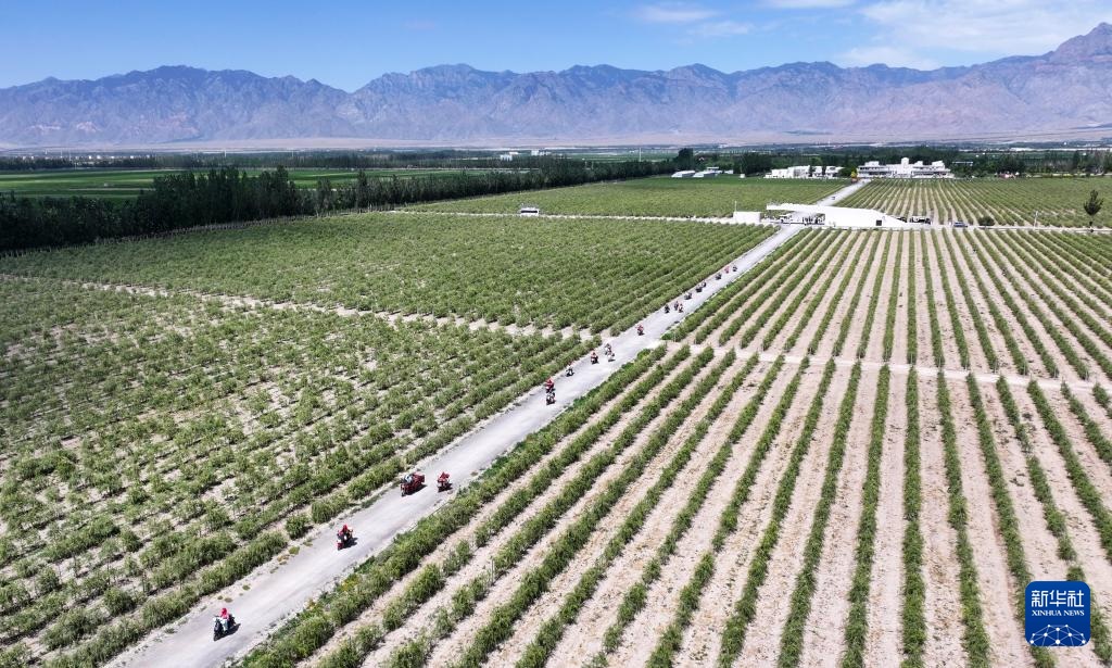 ????????? ?? ??????? ?????? ?? ??? ????? ??? ??????