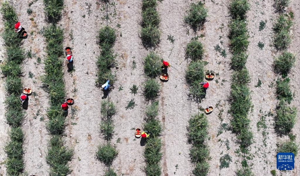 ????????? ?? ??????? ?????? ?? ??? ????? ??? ??????