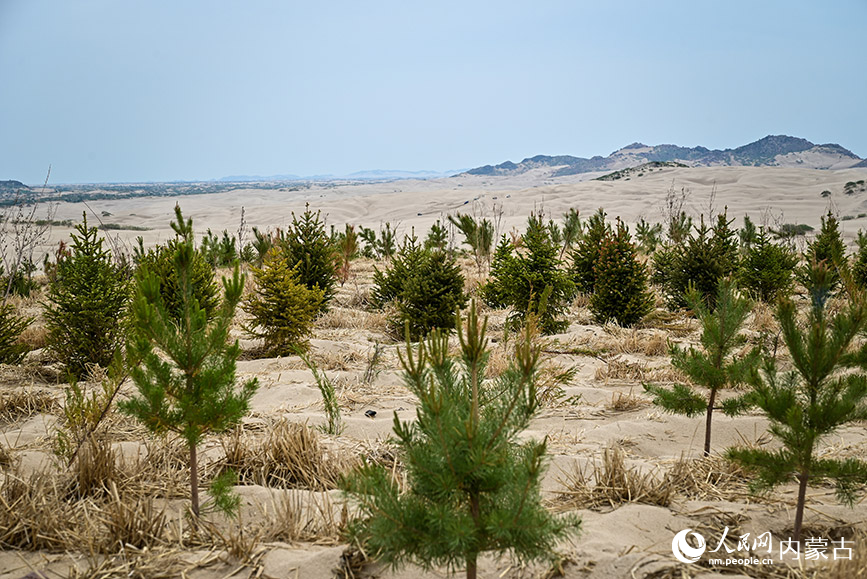 ?????? ???? ??????? ?? ??????? ???????? ?????? ???? ??????