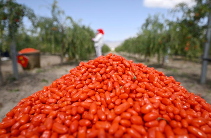 ????????? ?? ??????? ?????? ?? ??? ????? ??? ??????