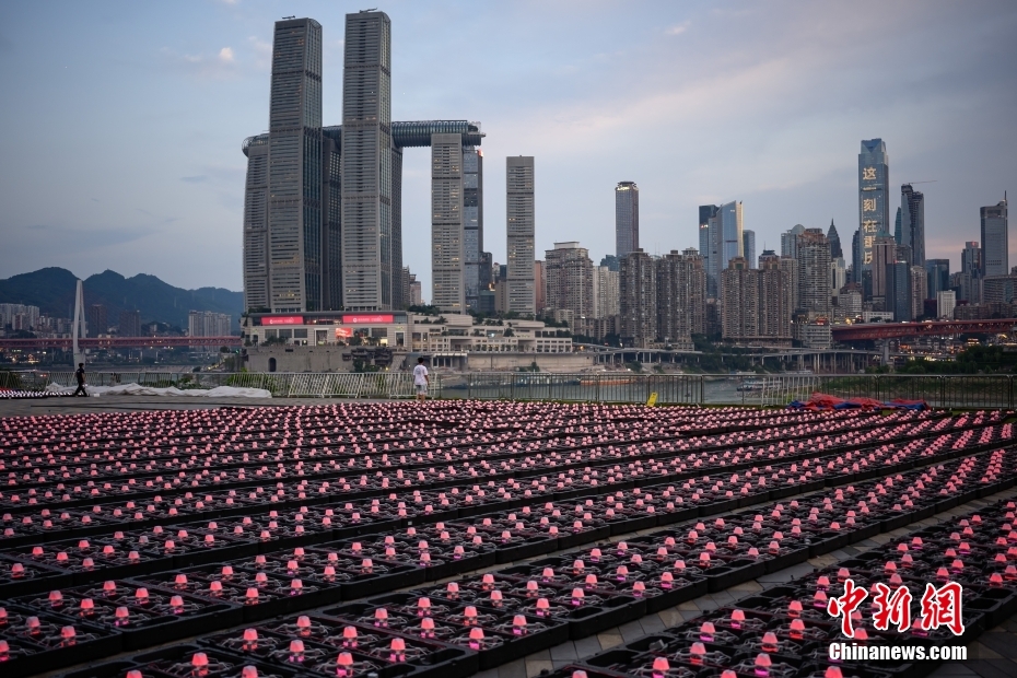 ????? ?? 11 ??? ????? ?????? ?????????? ???? ????? ??????? ?????? ???????