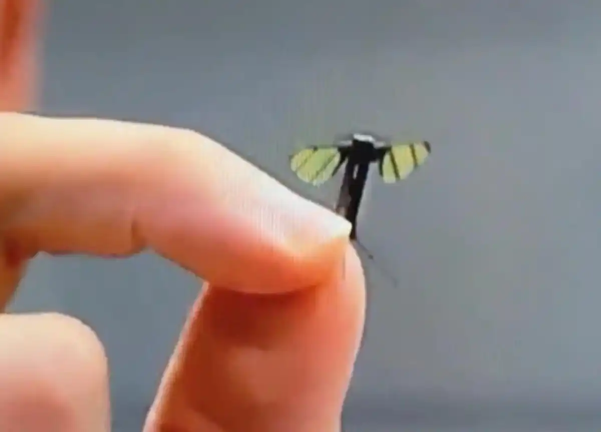 ????? ???? ???? ????? ?? ???? ????? ?????? ????????? ?? ????? ??????