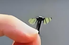 ????? ???? ???? ????? ?? ???? ????? ?????? ????????? ?? ????? ??????