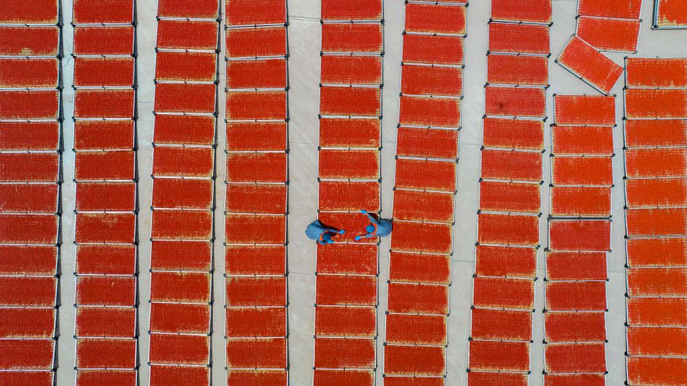 ??????: ????? ???? ??? ???? ?? ???? ????? ???? ?????