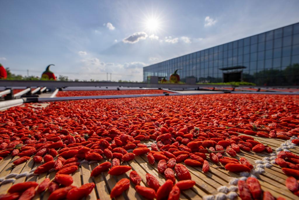 ??????: ????? ???? ??? ???? ?? ???? ????? ???? ?????