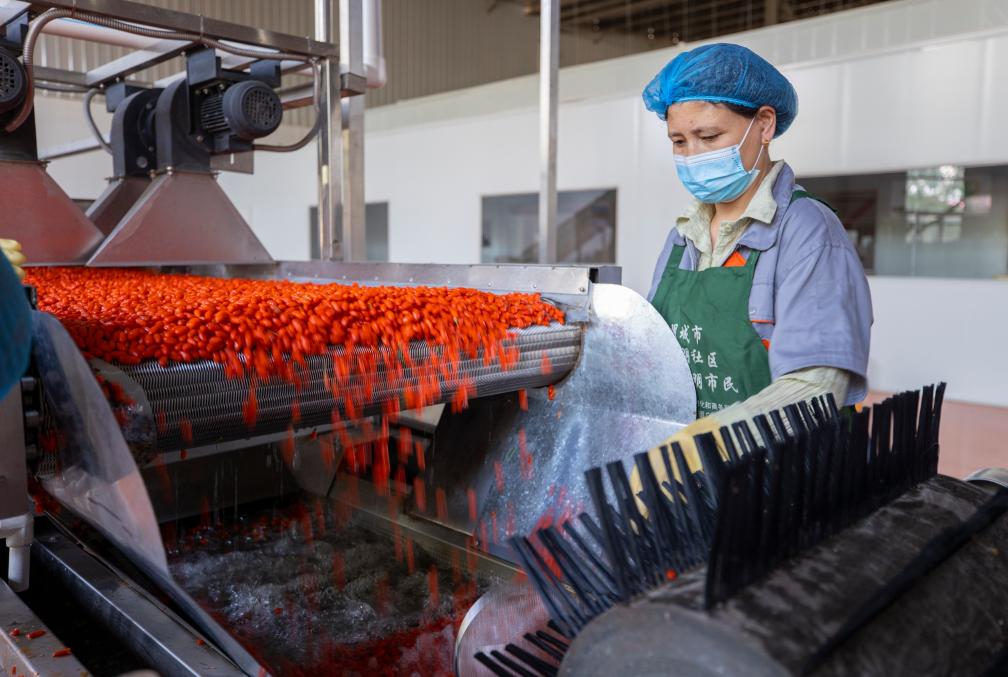 ??????: ????? ???? ??? ???? ?? ???? ????? ???? ?????