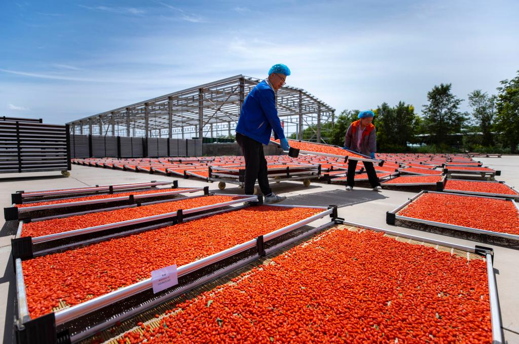 ??????: ????? ???? ??? ???? ?? ???? ????? ???? ?????