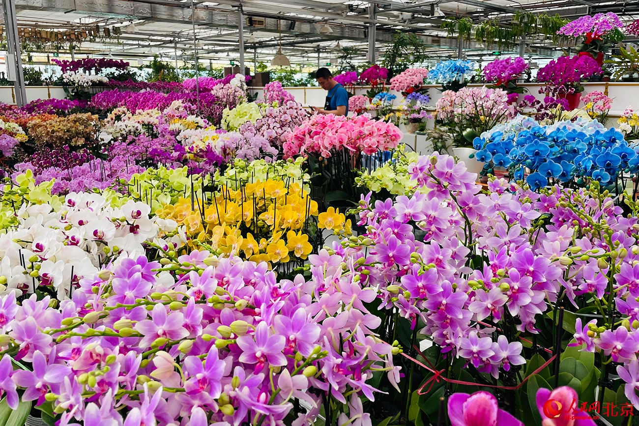 ???? ???? ?????? ??????.. ????? ?? ?????? ????? ????????