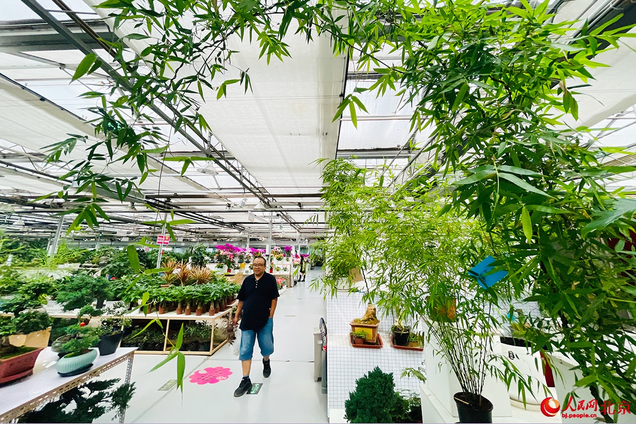 ???? ???? ?????? ??????.. ????? ?? ?????? ????? ????????