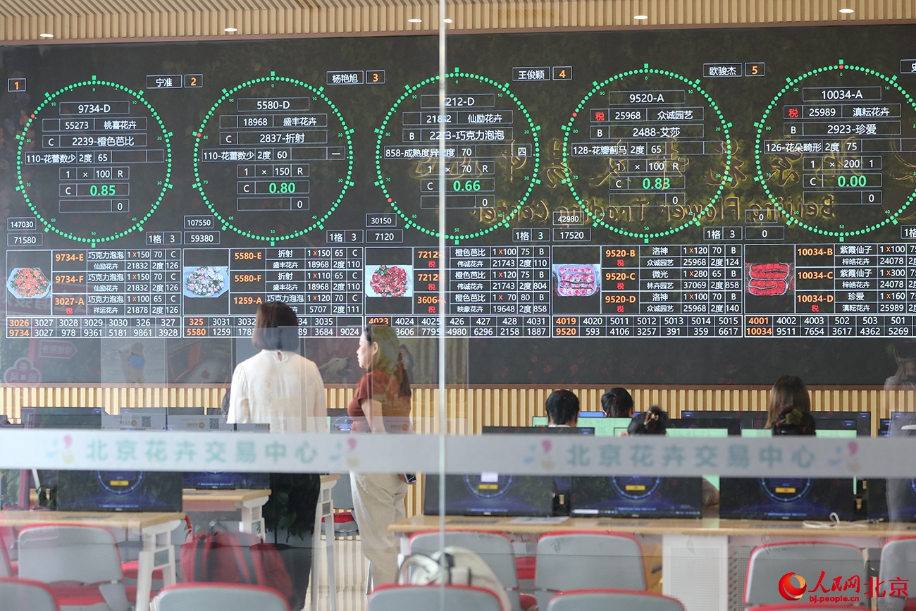 ???? ???? ?????? ??????.. ????? ?? ?????? ????? ????????