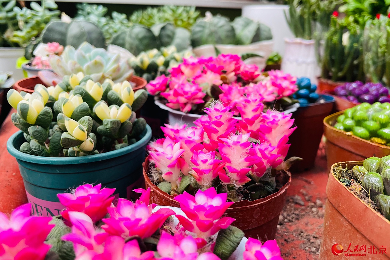 ???? ???? ?????? ??????.. ????? ?? ?????? ????? ????????