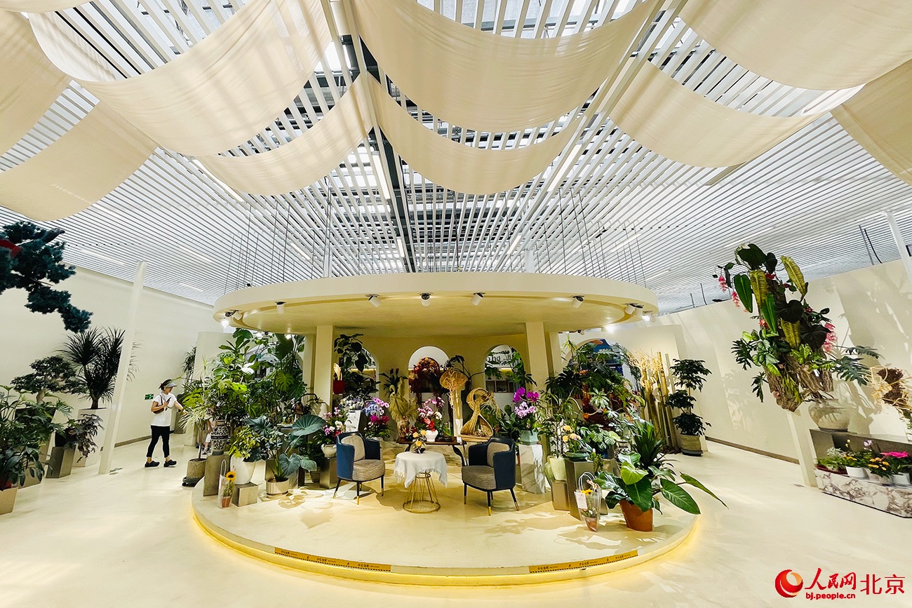 ???? ???? ?????? ??????.. ????? ?? ?????? ????? ????????