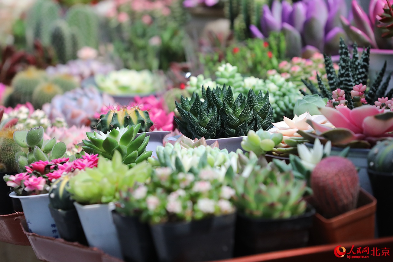 ???? ???? ?????? ??????.. ????? ?? ?????? ????? ????????