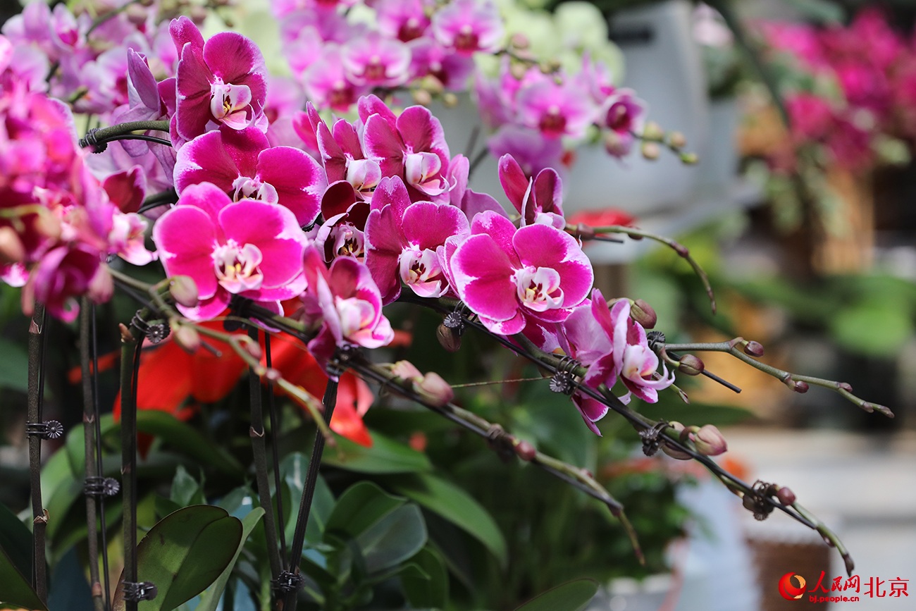 ???? ???? ?????? ??????.. ????? ?? ?????? ????? ????????