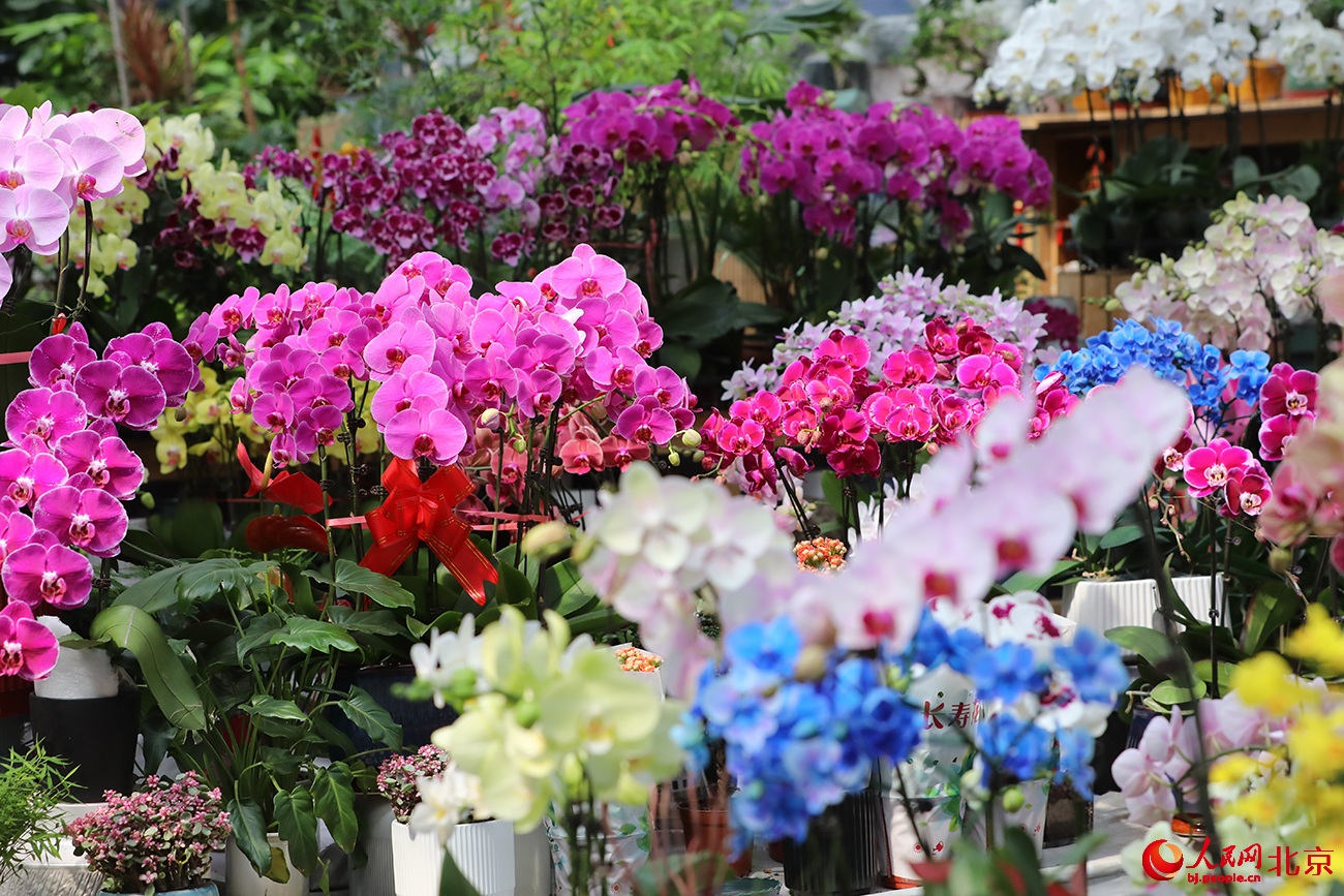 ???? ???? ?????? ??????.. ????? ?? ?????? ????? ????????