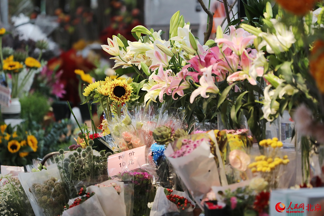 ???? ???? ?????? ??????.. ????? ?? ?????? ????? ????????