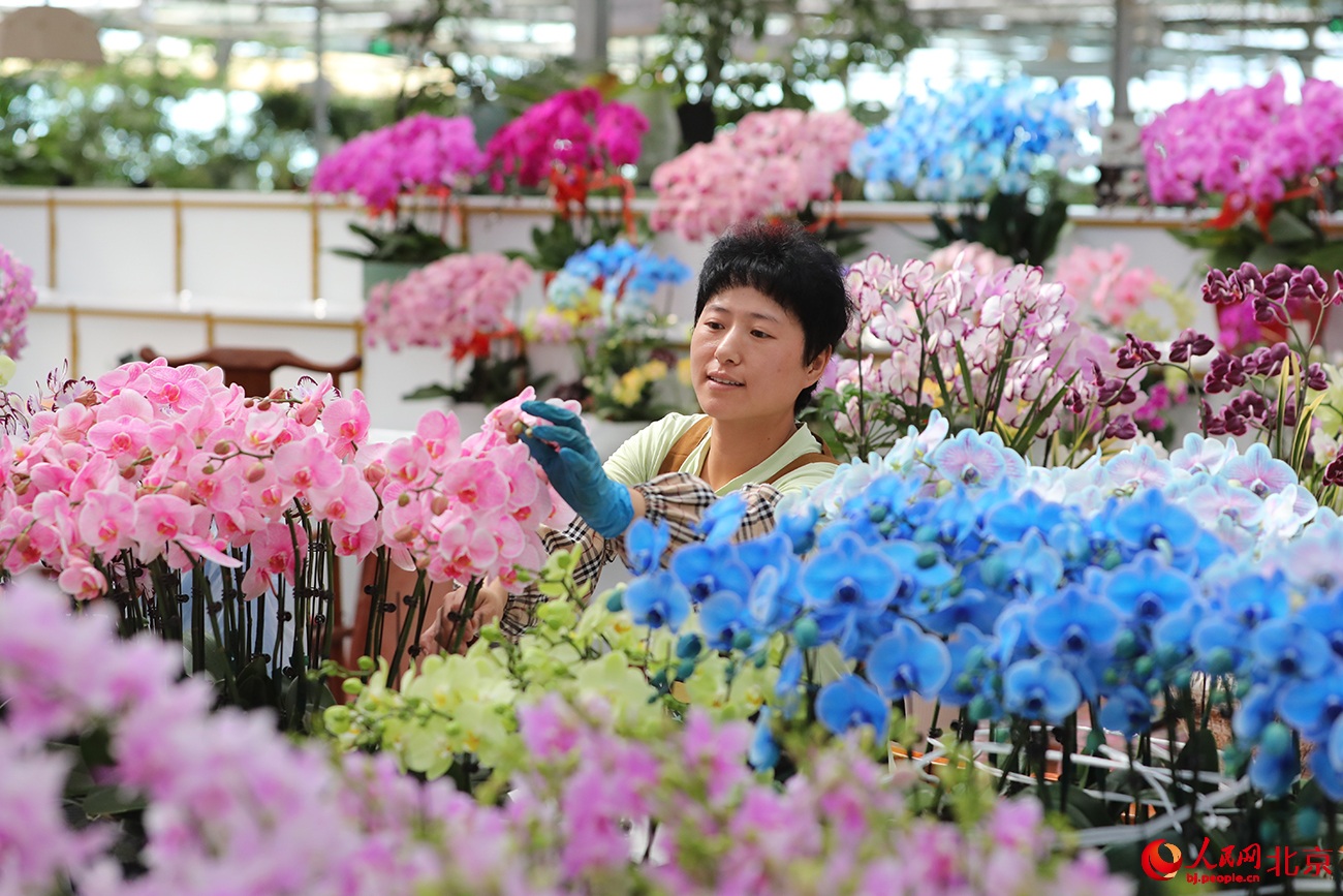 ???? ???? ?????? ??????.. ????? ?? ?????? ????? ????????