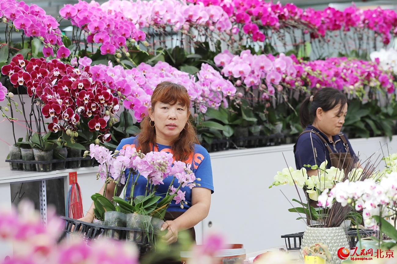 ???? ???? ?????? ??????.. ????? ?? ?????? ????? ????????