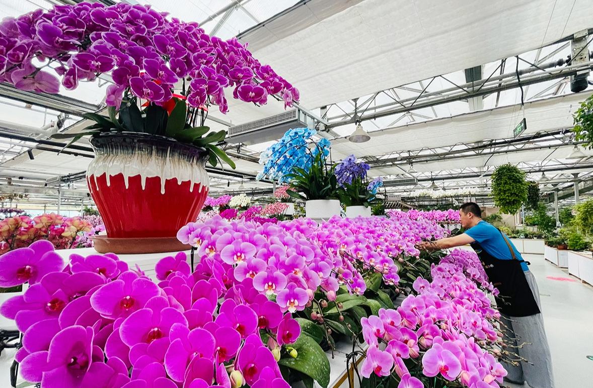 ???? ???? ?????? ??????..  ???? ?? ?????? ????? ????????