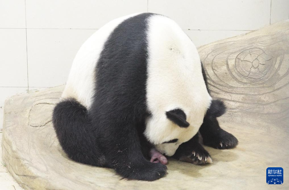 ????? ??? ??? ????? ?????? ?? ??? 2025 ?? ???? ???? ?????? ??????? ????????