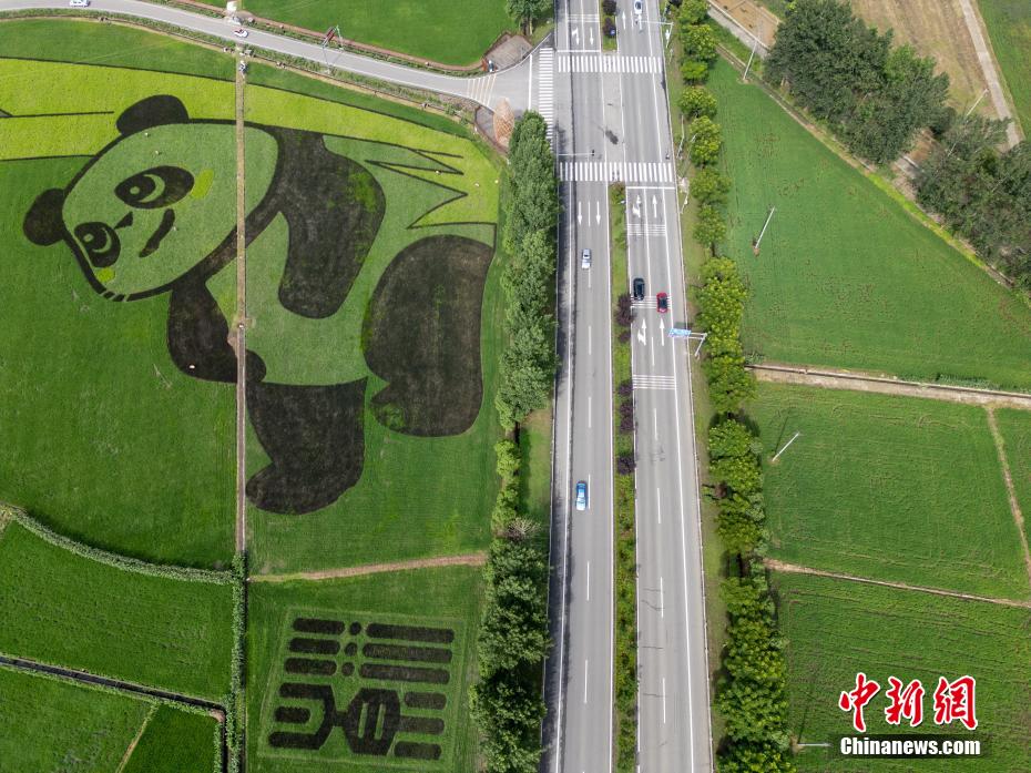 ?? ???????? ??? ?? ????? ?????? ???? ??? ??? ????? ??????